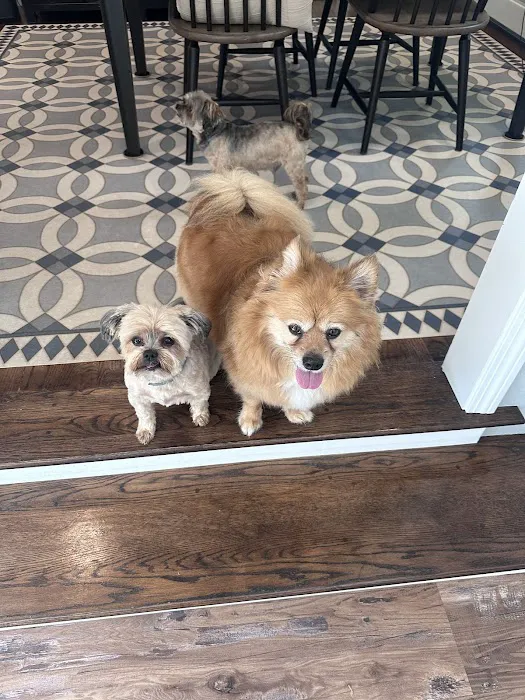 Harbor Animal Hospital Picture 4