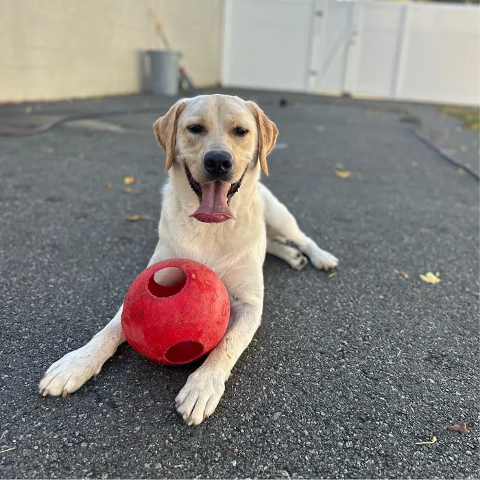 Harbor Animal Hospital Picture 3