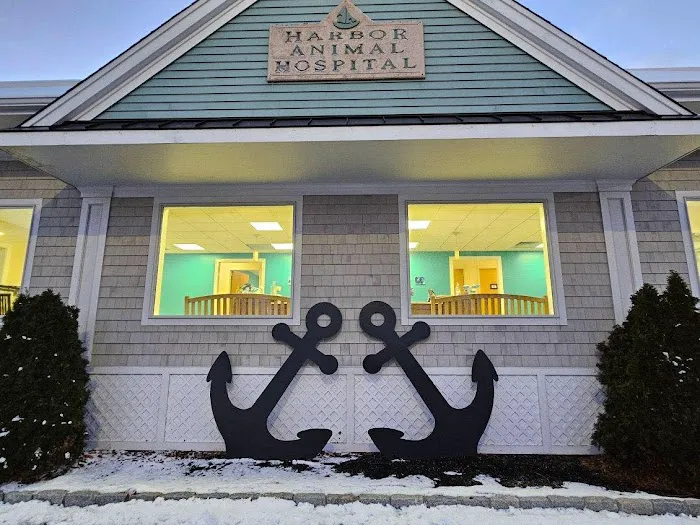 Harbor Animal Hospital Picture 10