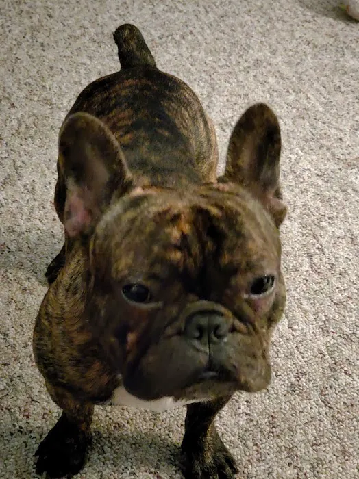 Warren Animal Hospital: Bickford Ilse DVM Picture 1