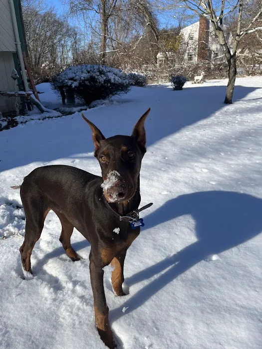 Warren Animal Hospital Picture 2