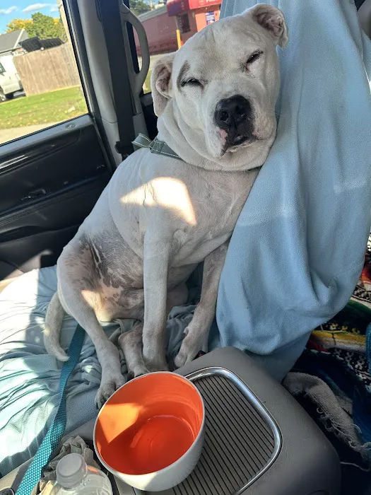 Warren Animal Hospital Picture 3