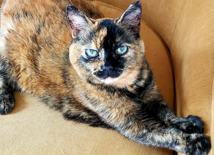 Warren Animal Hospital Picture 10