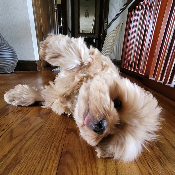 Warren Animal Hospital Picture 6