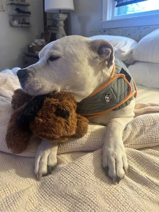 Warren Animal Hospital Picture 9