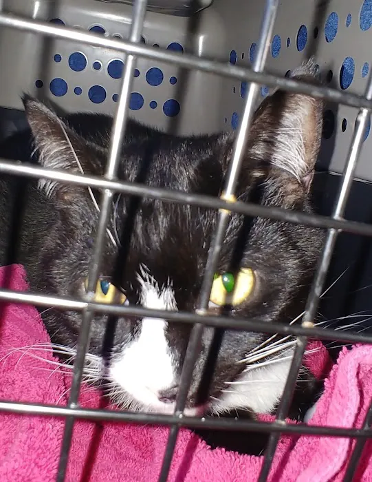 Warren Animal Hospital Picture 7