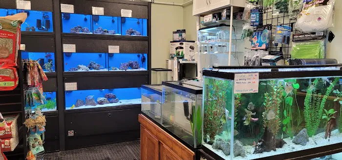 Fort Wagg Pet Store Picture 2