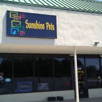 Sunshine Pets ico