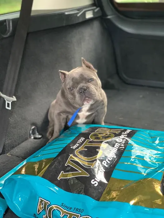 Proformance Pet Supply Picture 1