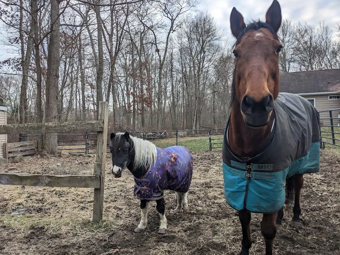 Sarah Horin Reynolds, DVM, Inc. Picture 4