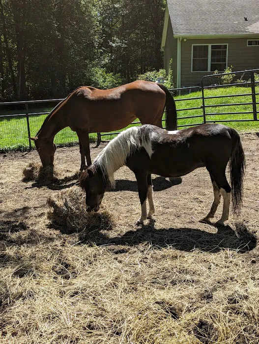 Sarah Horin Reynolds, DVM, Inc. Picture 9