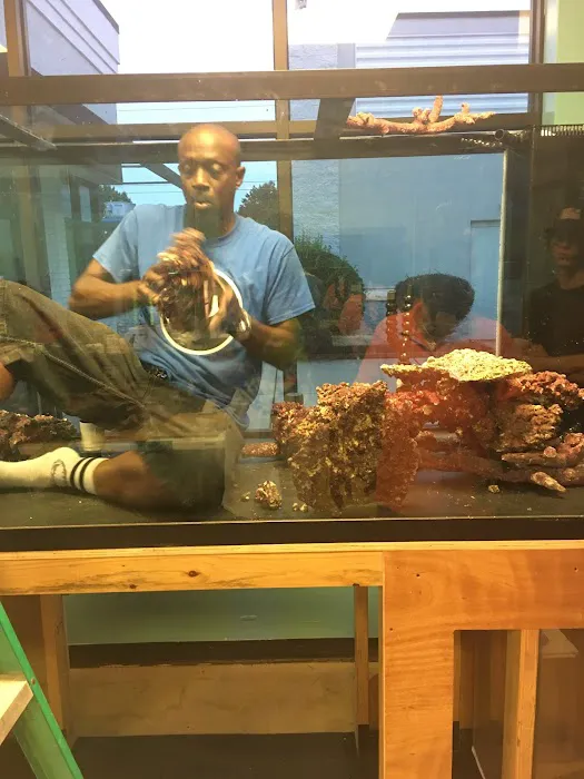 Reef Architects Picture 1