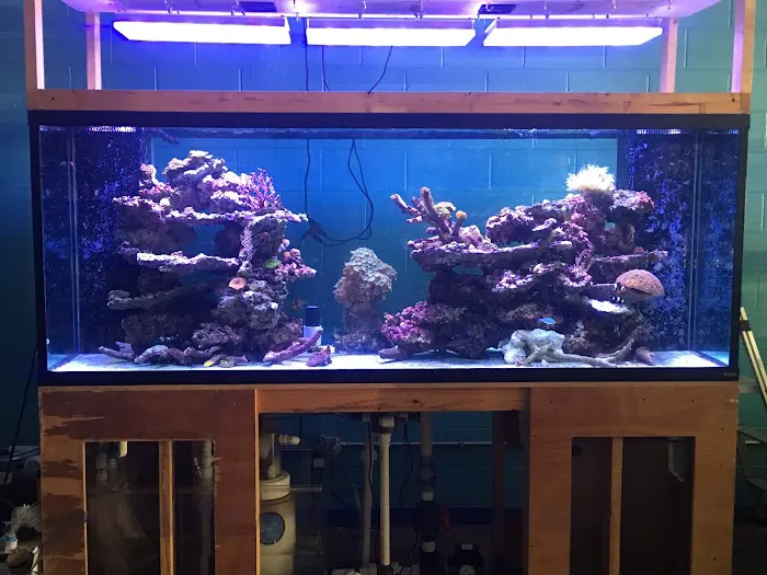 Reef Architects Picture 4