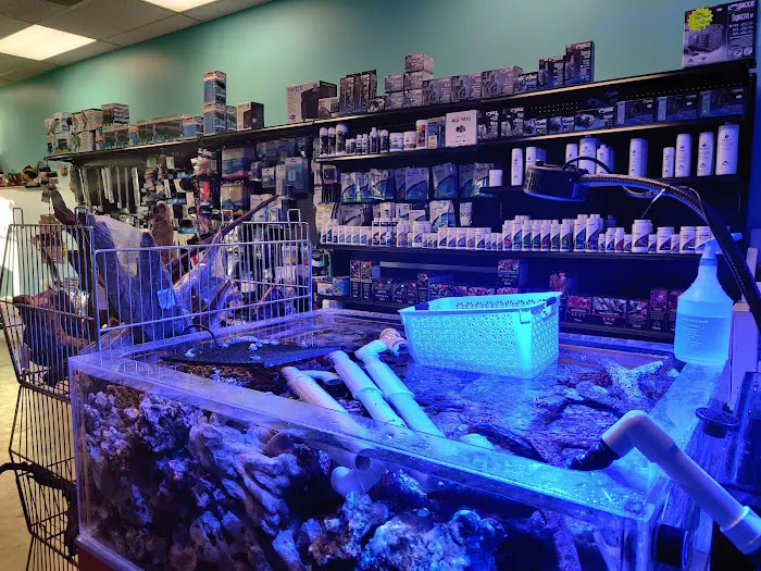 Reef Architects Picture 5