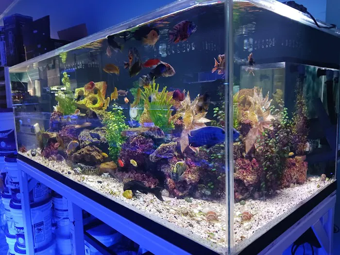 Reef Architects Picture 3