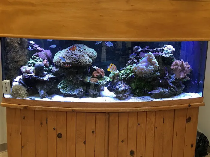 Reef Architects Picture 10