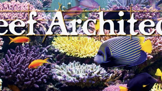 Reef Architects Picture 8