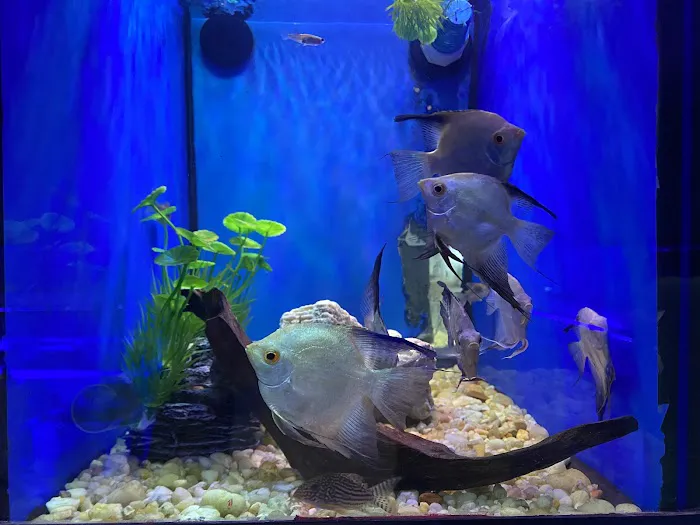 Reef Architects Picture 9