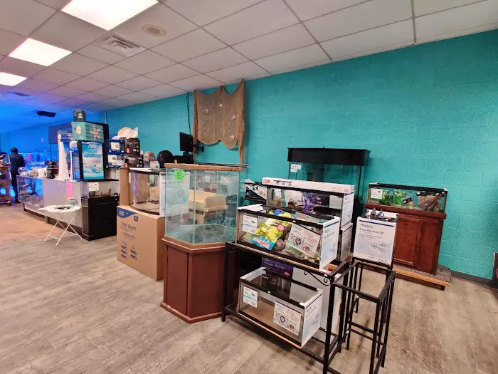 Reef Architects Picture 7