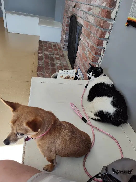 Swansea Veterinary Center Picture 10