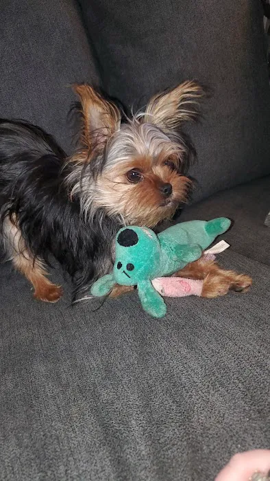 Swansea Veterinary Center Picture 5