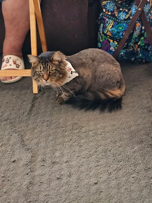 Swansea Veterinary Center Picture 8