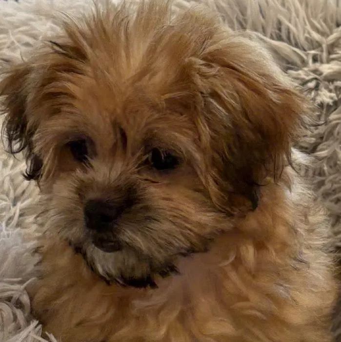 Waggles Greensboro Picture 2