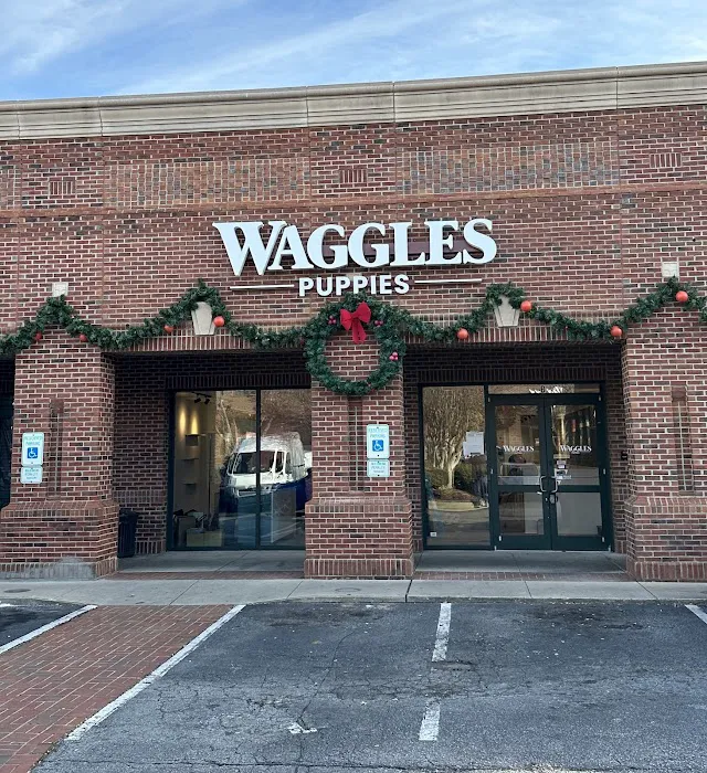 Waggles Greensboro Picture 6
