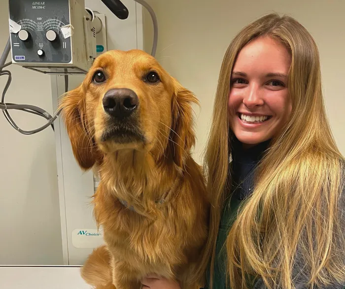 Bay State Veterinary Emergency & Specialty Services Picture 7