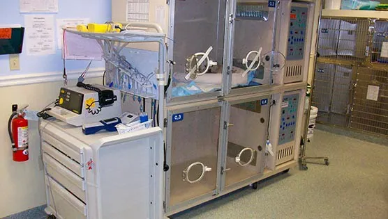 Bay State Veterinary Emergency & Specialty Services Picture 3