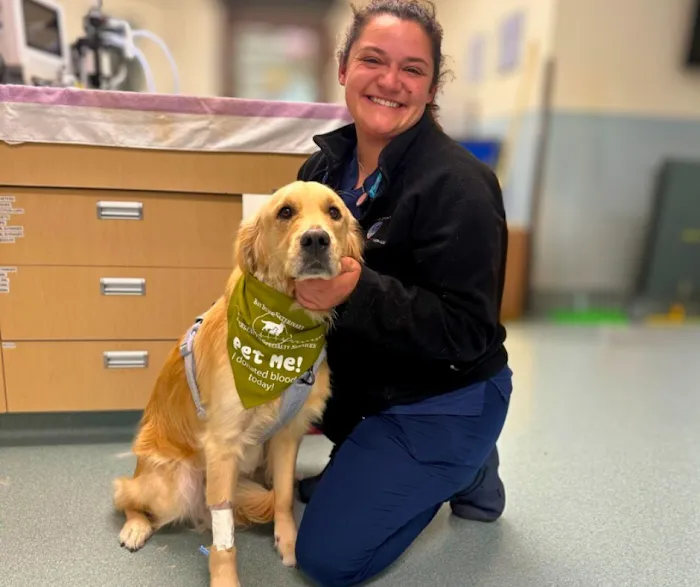 Bay State Veterinary Emergency & Specialty Services Picture 8