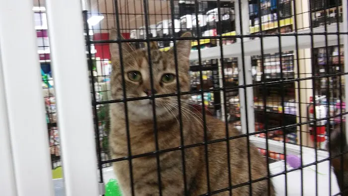 Pet Supermarket Picture 2