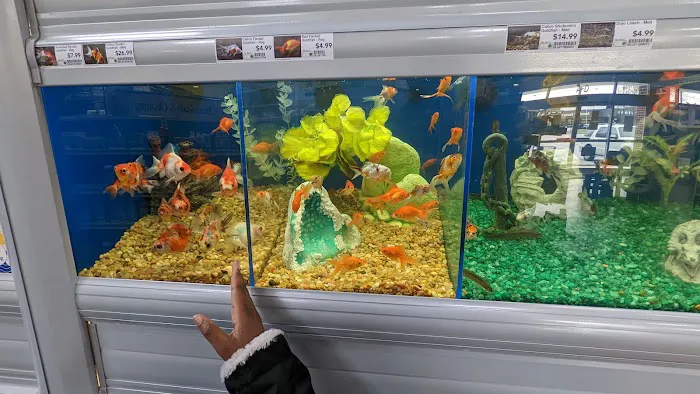 Pet Supermarket Picture 6