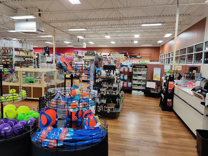 Pet Supermarket Picture 4