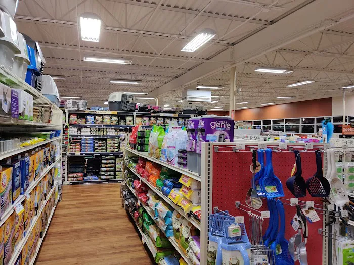 Pet Supermarket Picture 1