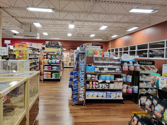 Pet Supermarket Picture 5