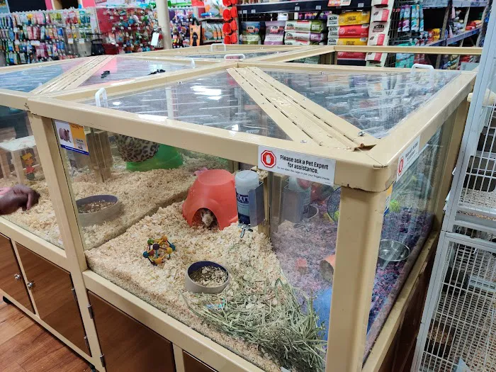 Pet Supermarket Picture 7