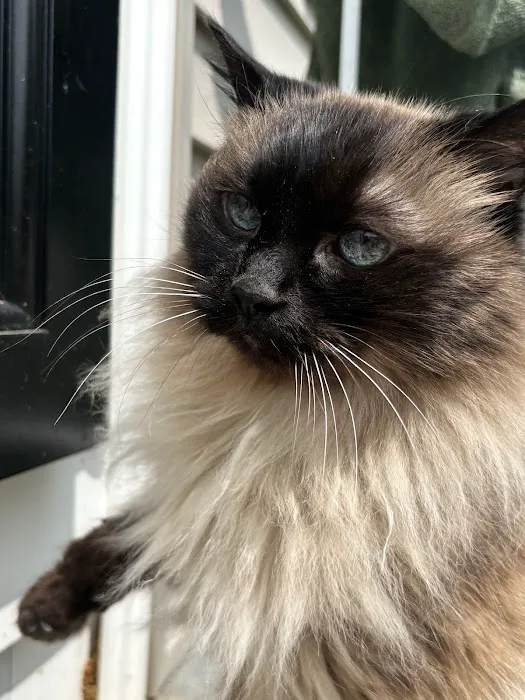 Mass-RI Veterinary ER Picture 2