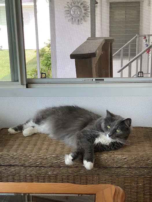 Mass-RI Veterinary ER Picture 1