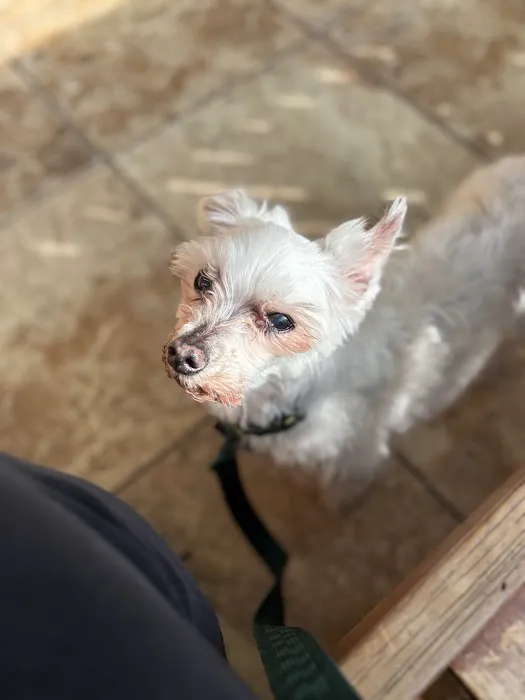 Mass-RI Veterinary ER Picture 10