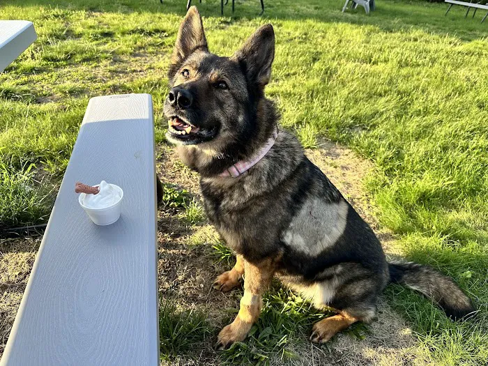 Mass-RI Veterinary ER Picture 5