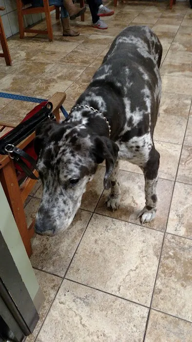 Mass-RI Veterinary ER Picture 4