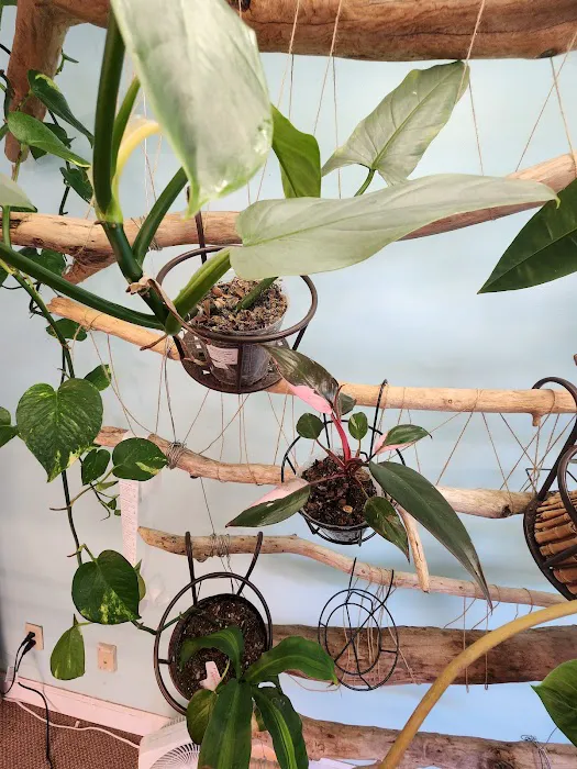 archdale fish & plants Picture 5