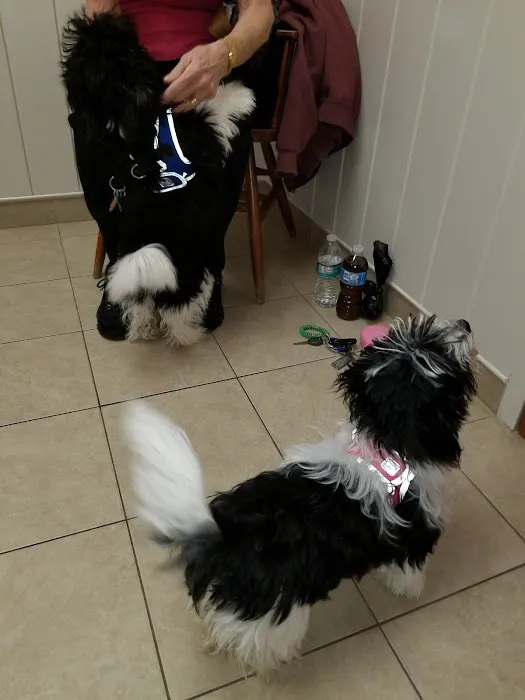 Scituate Animal Hospital Picture 8