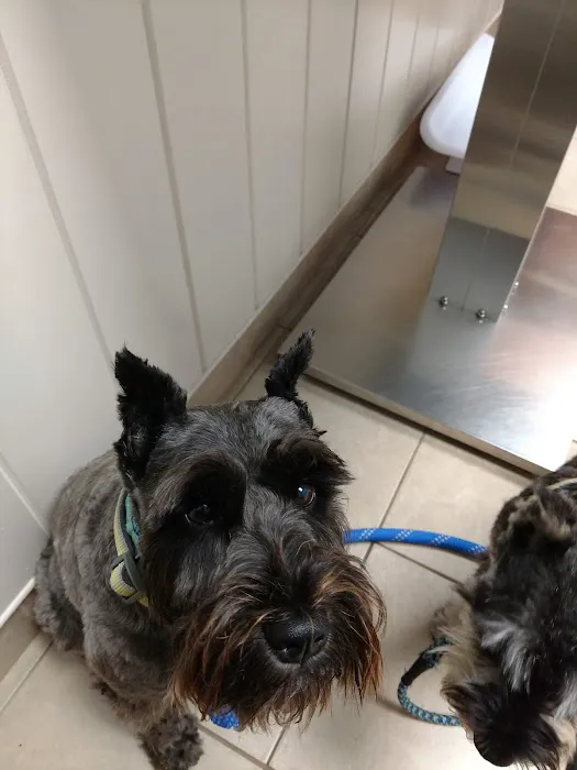Scituate Animal Hospital Picture 5