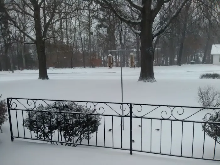 CHRIS'S BIRD FEEDERS AND SQUIRREL RESISTANT POLES Picture 1