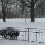 CHRIS'S BIRD FEEDERS AND SQUIRREL RESISTANT POLES