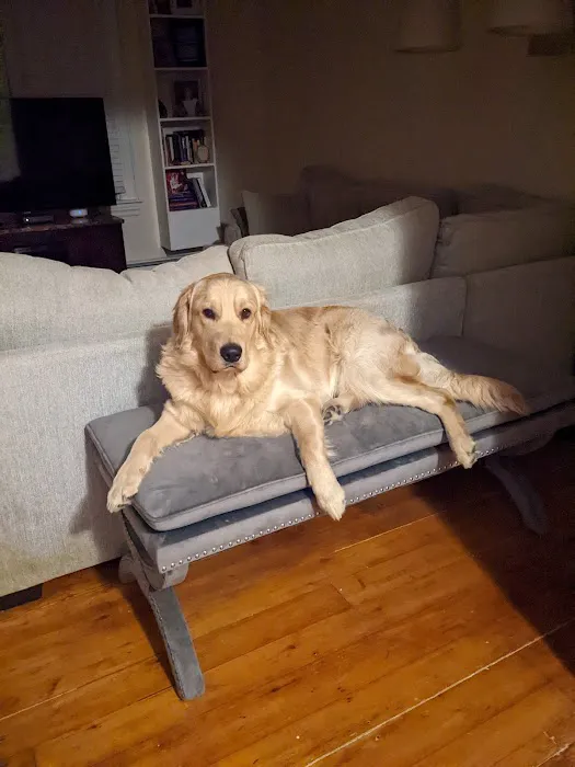 Lincoln Animal Hospital Picture 10