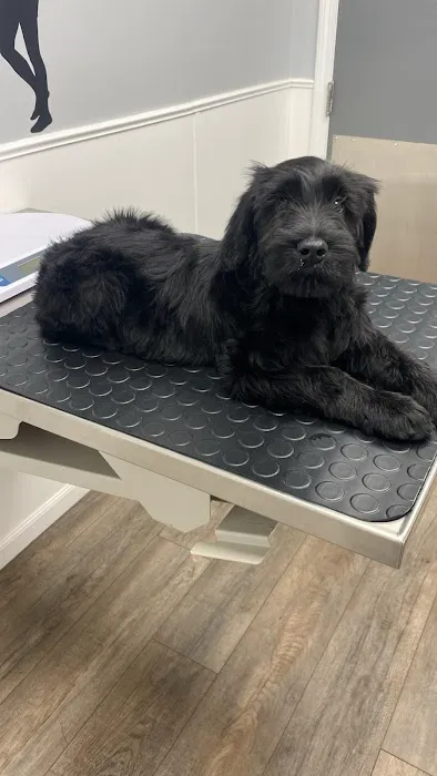 Lincoln Animal Hospital Picture 4