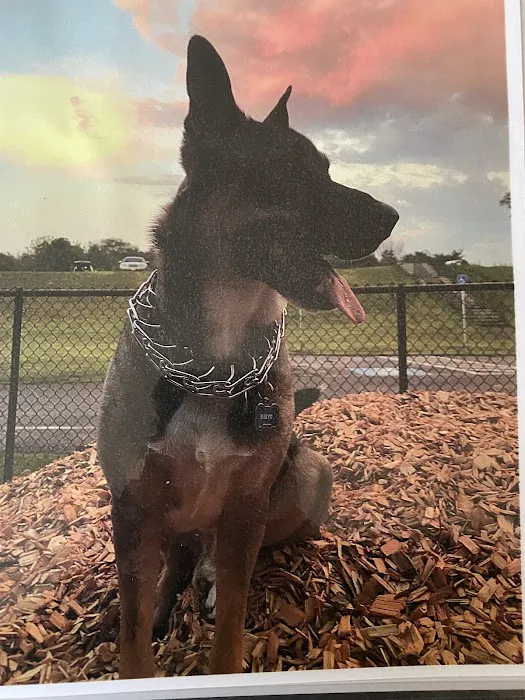 Lincoln Animal Hospital Picture 6